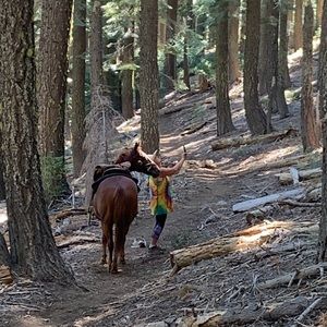 Meet your Posher, Sue